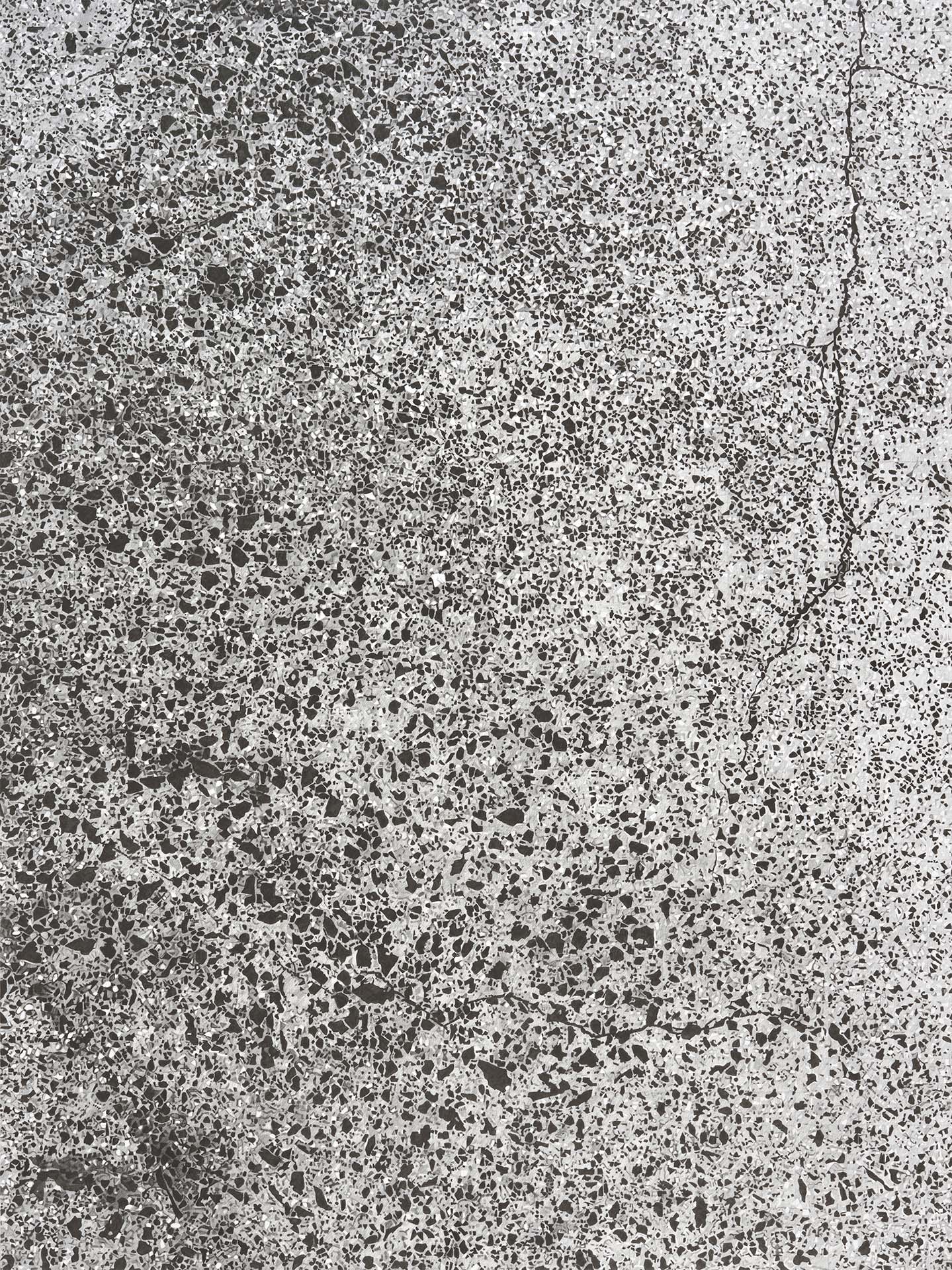 Concrete 2, 2021, graphite on bristol board, 575 x 430mm. Photo: Sam Hartnett